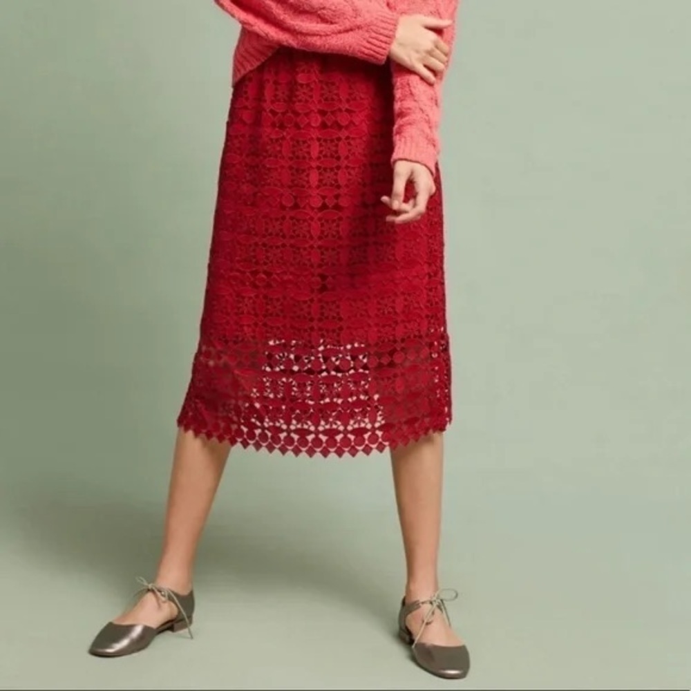 Anthropologie Maya Cutout Lace Midi Skirt by LiLi’s Closet.